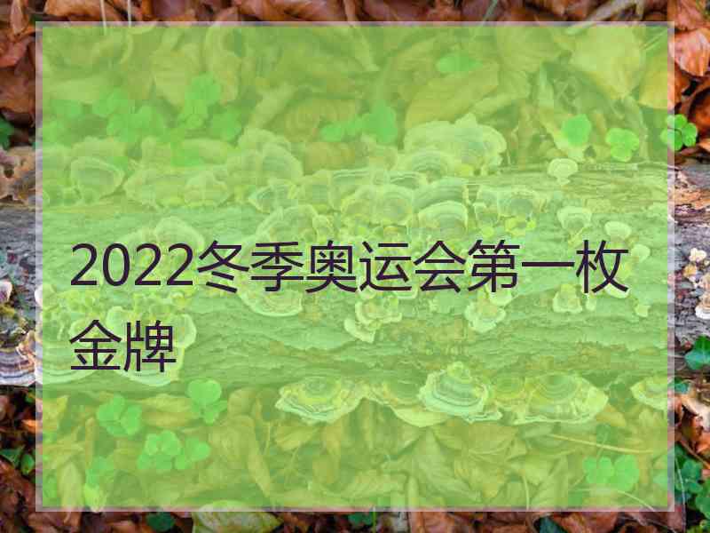 2022冬季奥运会第一枚金牌