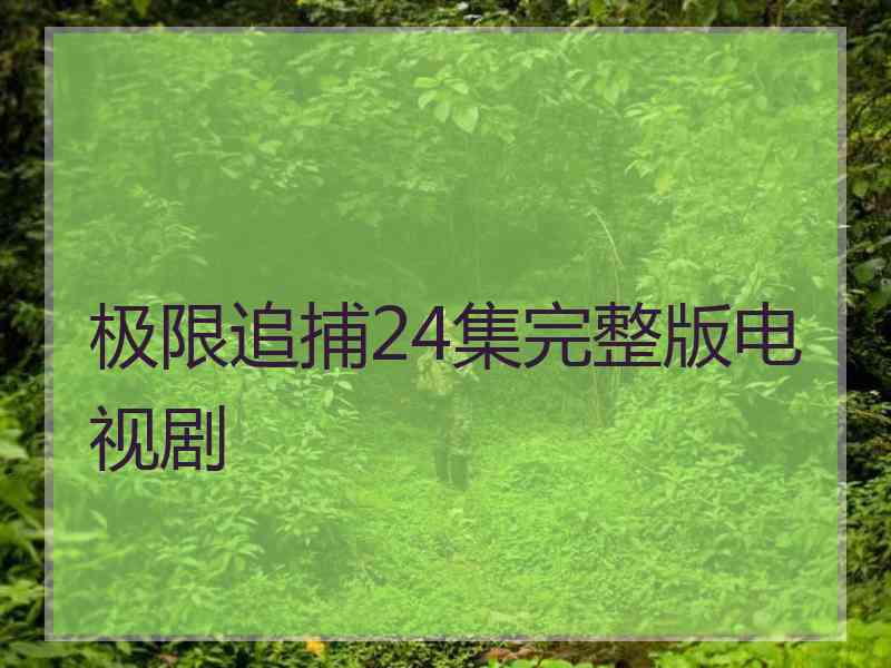 极限追捕24集完整版电视剧