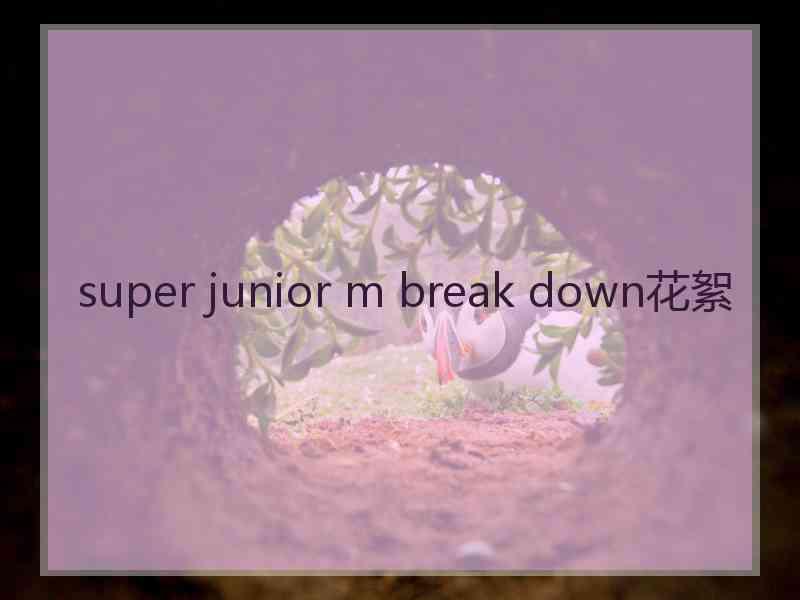 super junior m break down花絮