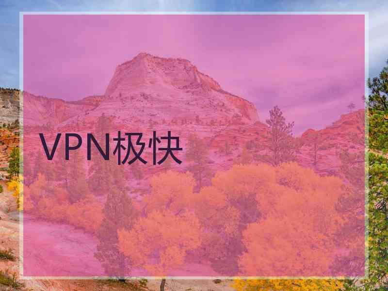 VPN极快