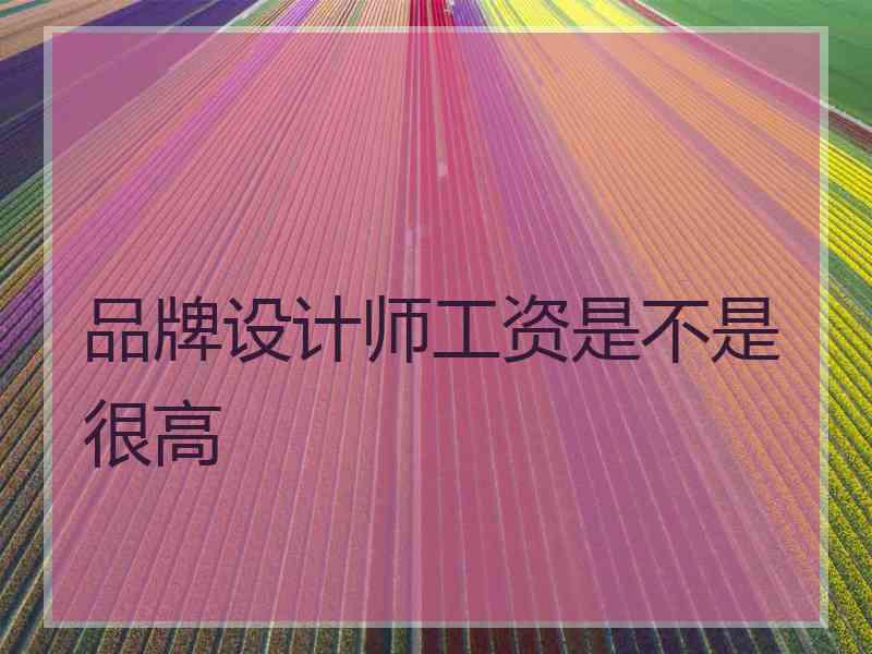 品牌设计师工资是不是很高