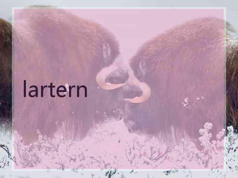 lartern