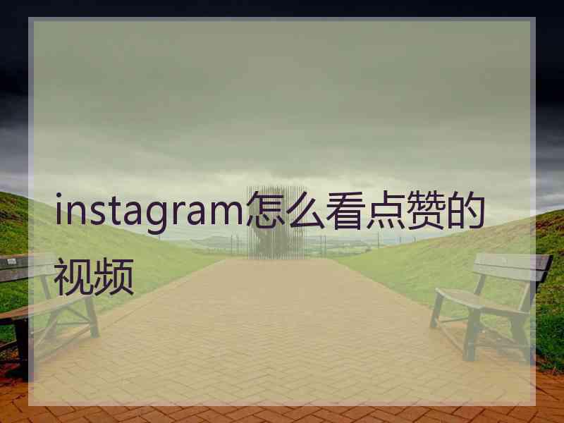 instagram怎么看点赞的视频