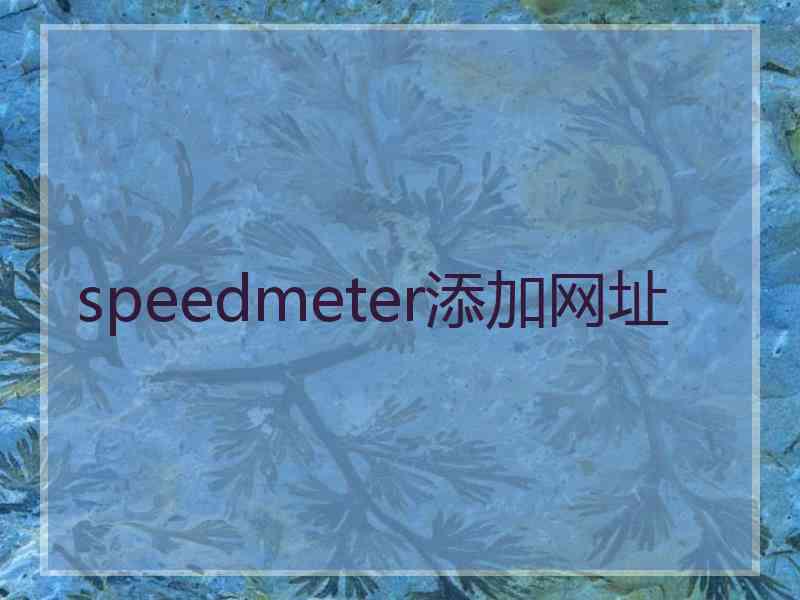 speedmeter添加网址