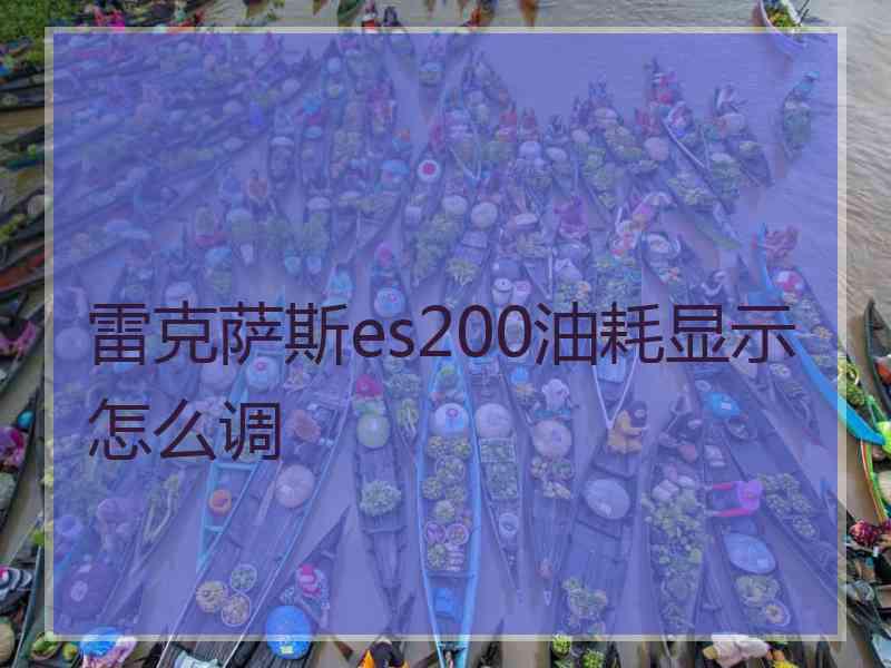 雷克萨斯es200油耗显示怎么调