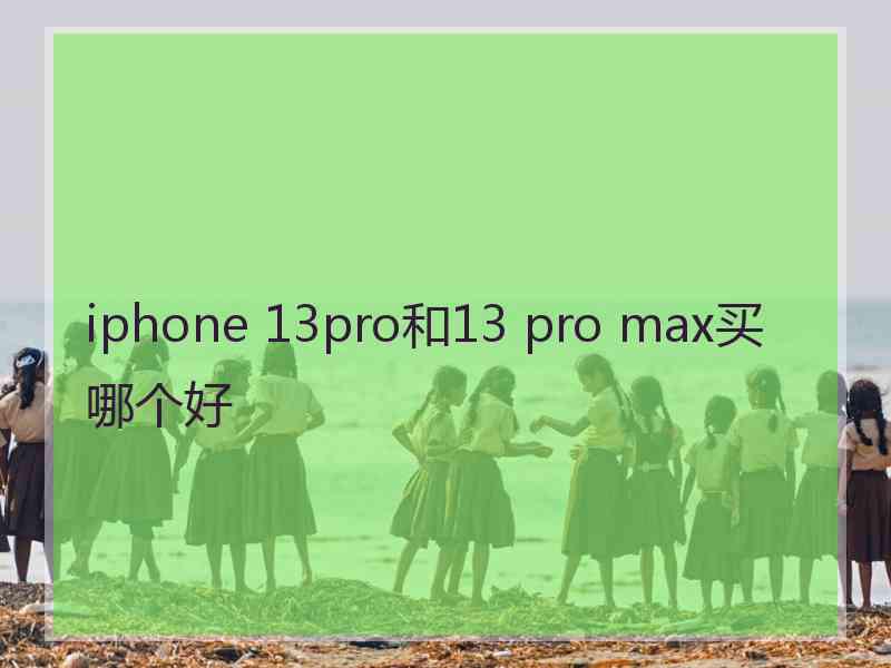 iphone 13pro和13 pro max买哪个好