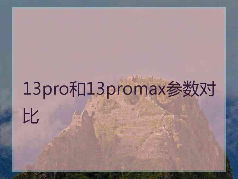 13pro和13promax参数对比