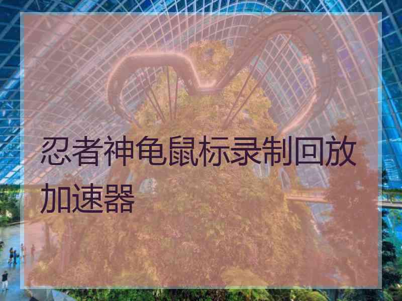 忍者神龟鼠标录制回放加速器