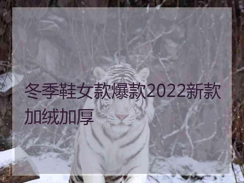 冬季鞋女款爆款2022新款加绒加厚