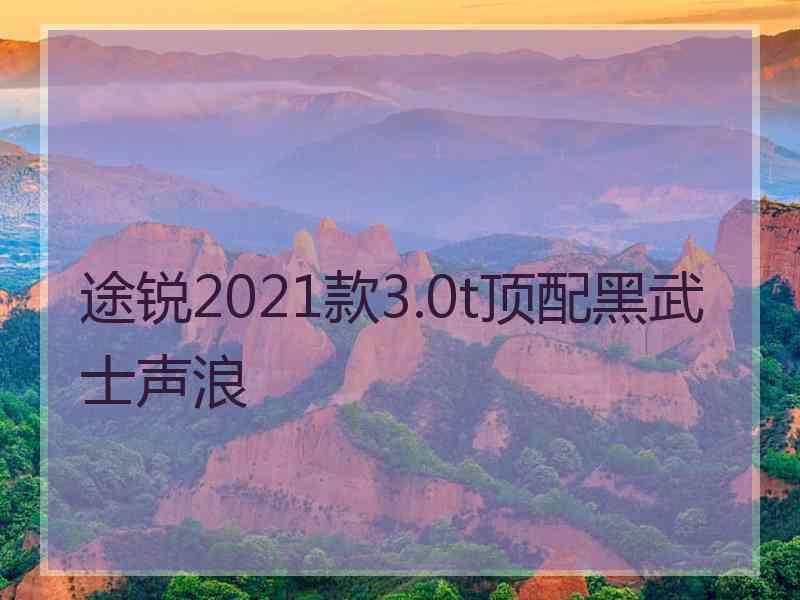 途锐2021款3.0t顶配黑武士声浪