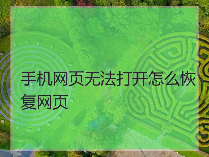 手机网页无法打开怎么恢复网页