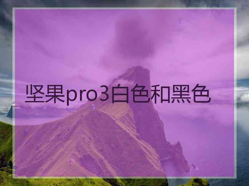 坚果pro3白色和黑色