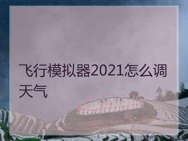 飞行模拟器2021怎么调天气