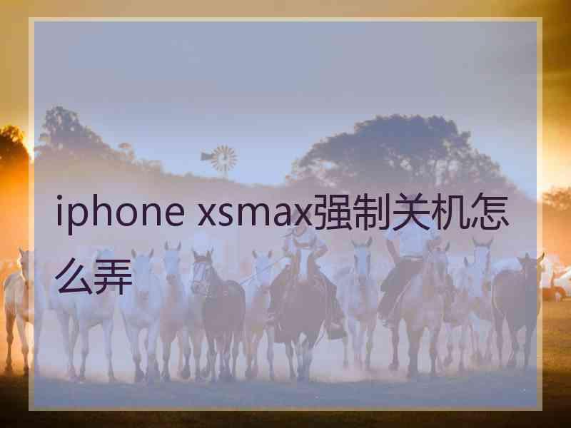 iphone xsmax强制关机怎么弄