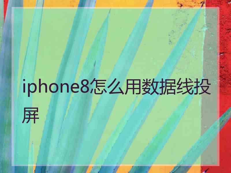 iphone8怎么用数据线投屏