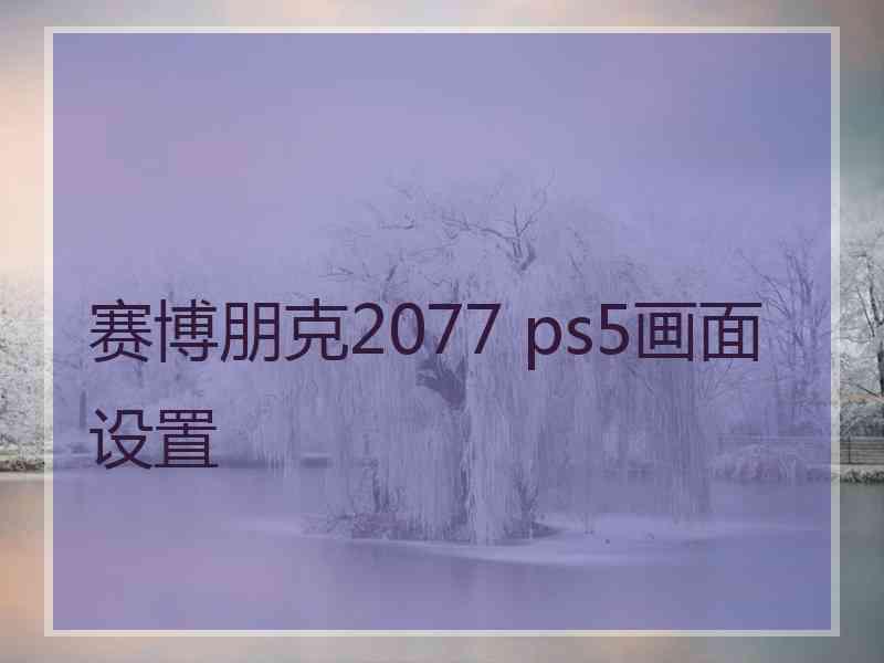 赛博朋克2077 ps5画面设置