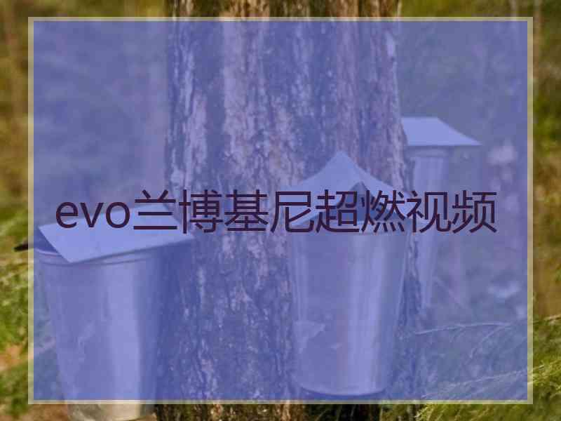 evo兰博基尼超燃视频