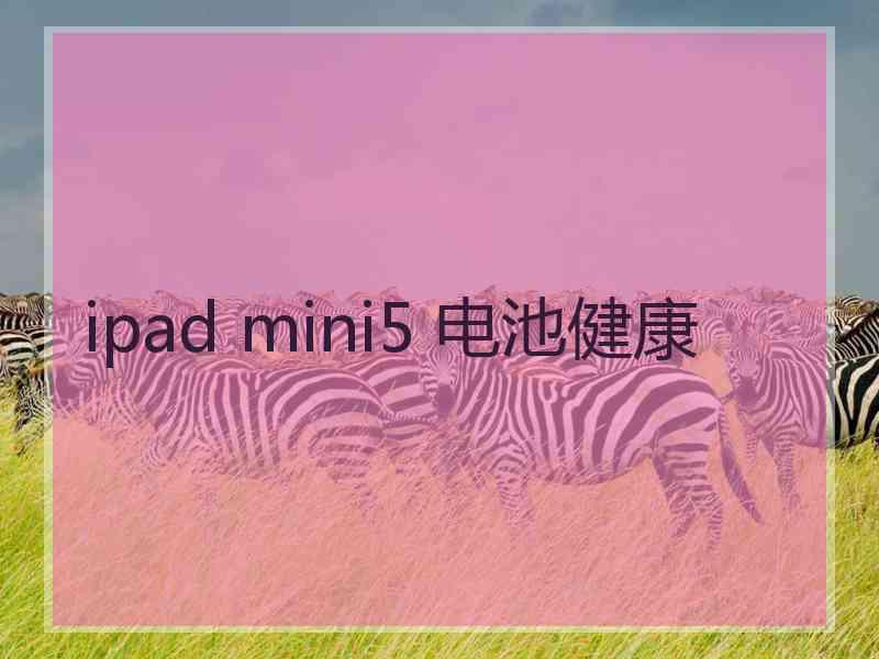 ipad mini5 电池健康