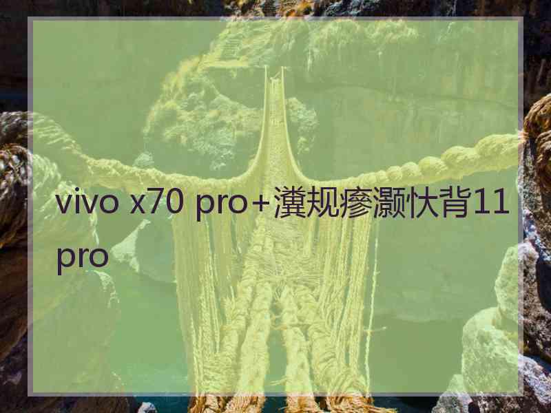 vivo x70 pro+瀵规瘮灏忕背11pro