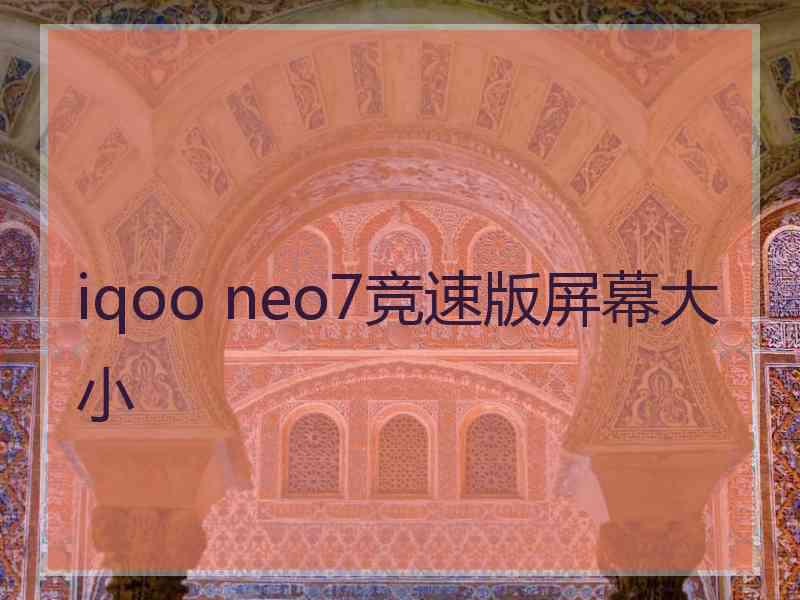 iqoo neo7竞速版屏幕大小