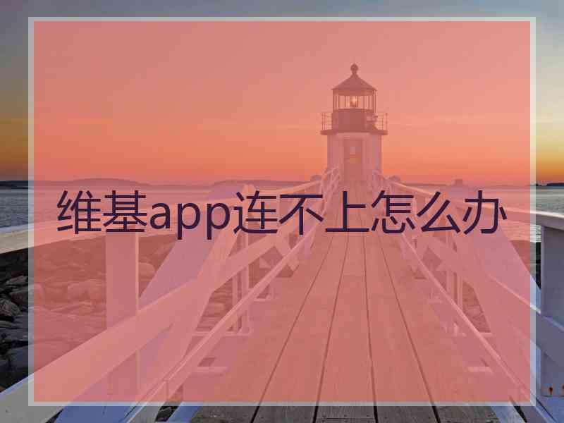 维基app连不上怎么办