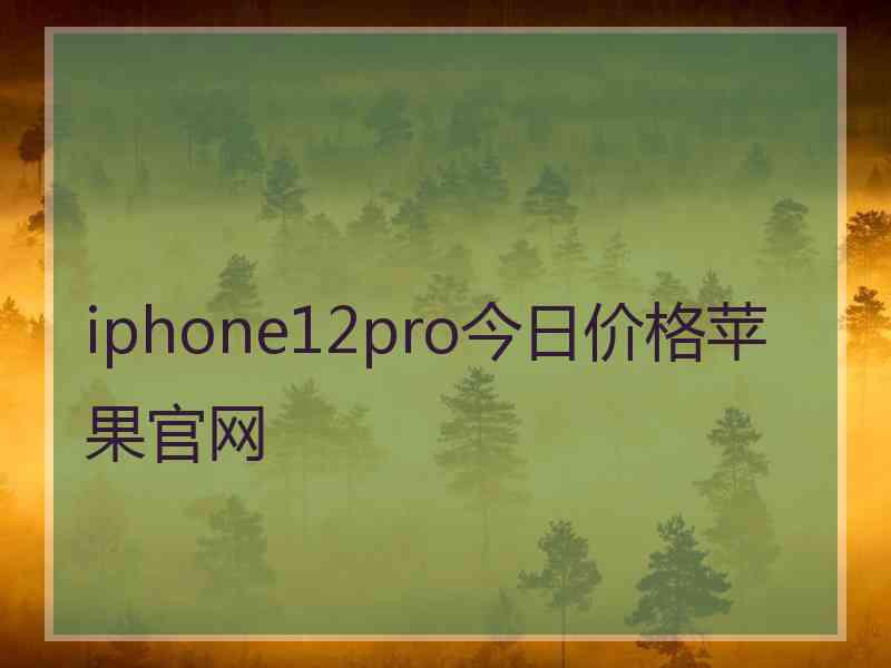iphone12pro今日价格苹果官网