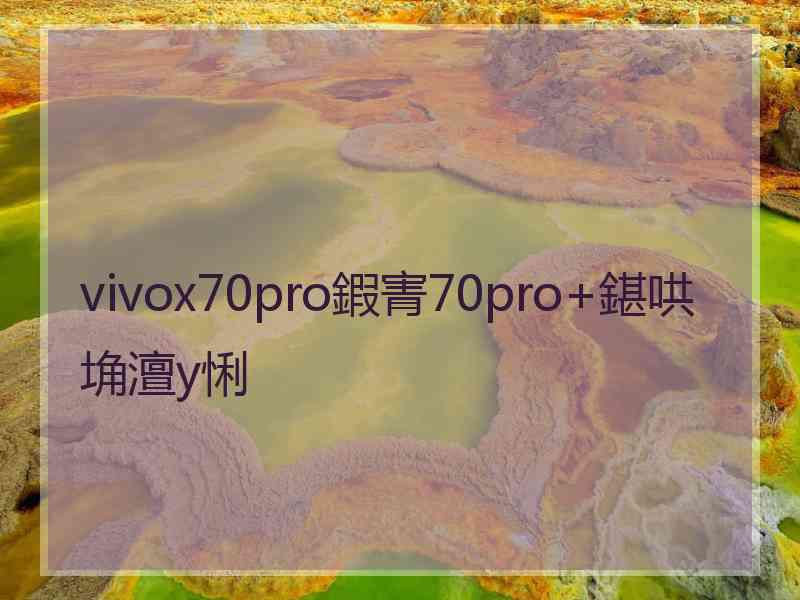 vivox70pro鍜寈70pro+鍖哄埆澶у悧