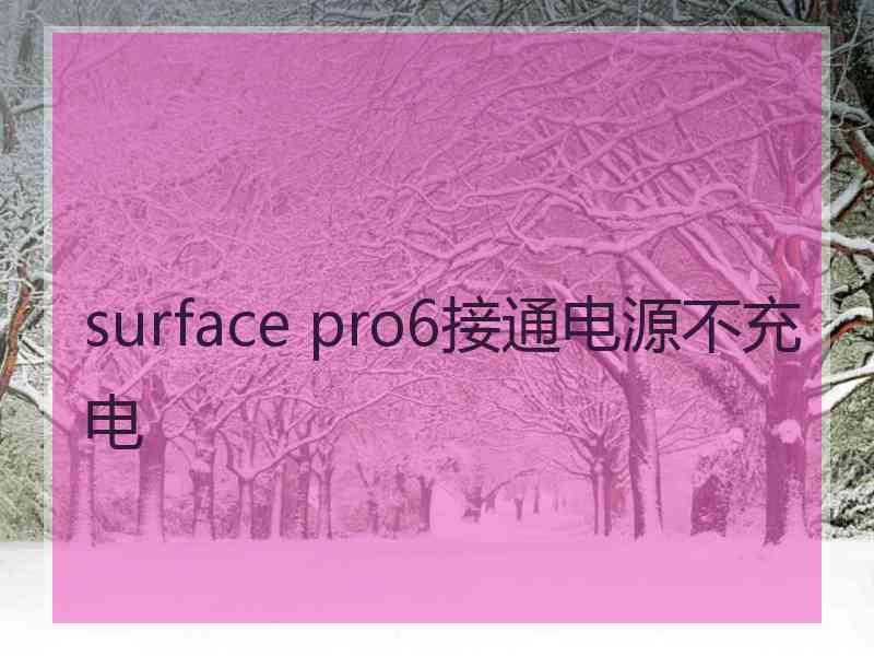 surface pro6接通电源不充电