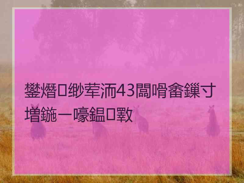 鐢熸缈荤洏43闆嗗畬鏁寸増鍦ㄧ嚎鎾斁