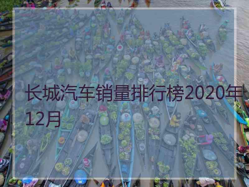 长城汽车销量排行榜2020年12月