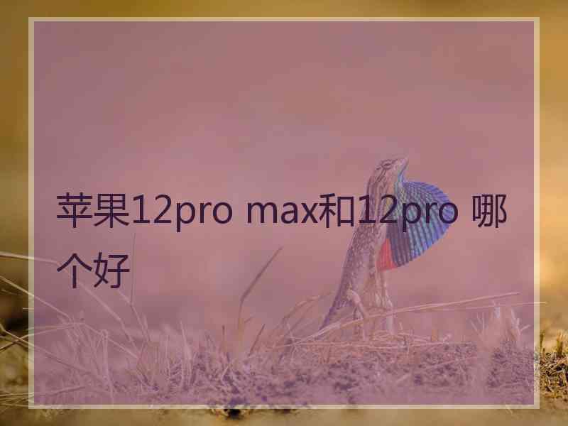 苹果12pro max和12pro 哪个好