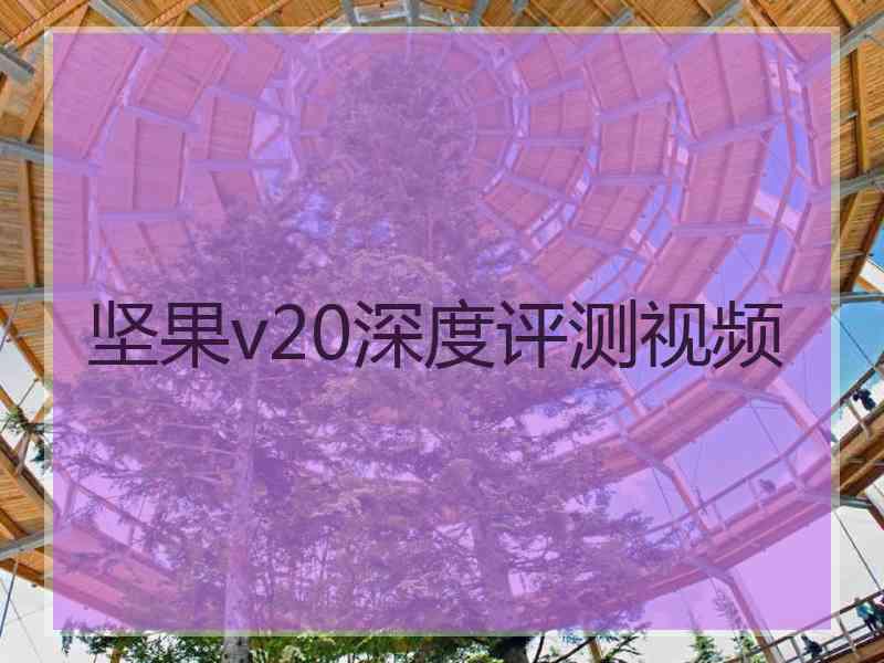 坚果v20深度评测视频