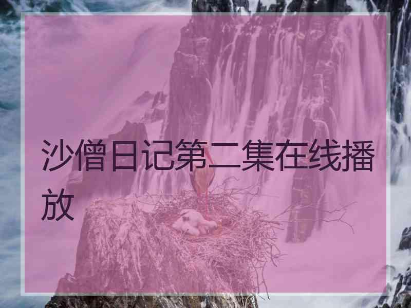 沙僧日记第二集在线播放