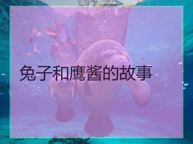 兔子和鹰酱的故事