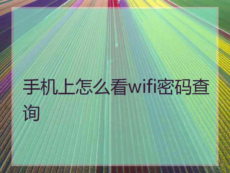 手机上怎么看wifi密码查询