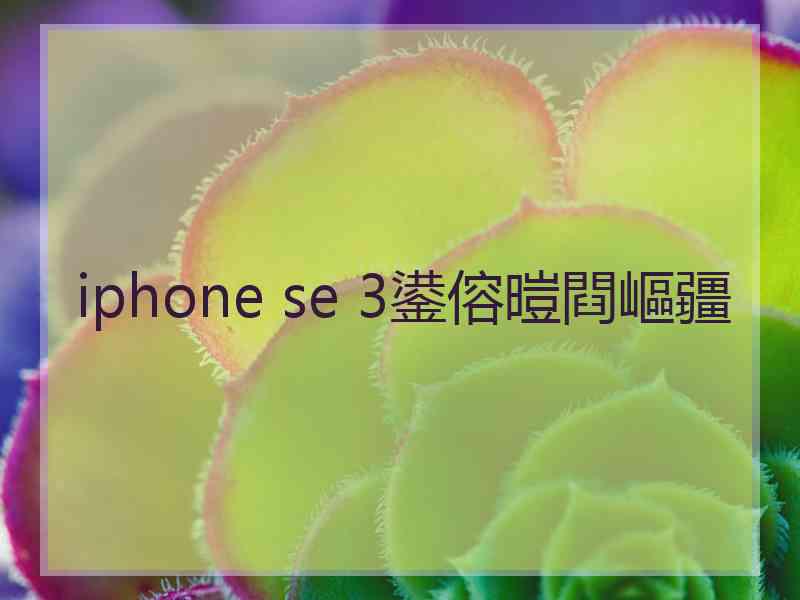 iphone se 3鍙傛暟閰嶇疆