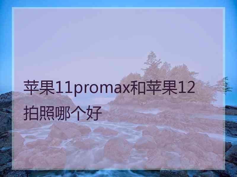 苹果11promax和苹果12拍照哪个好