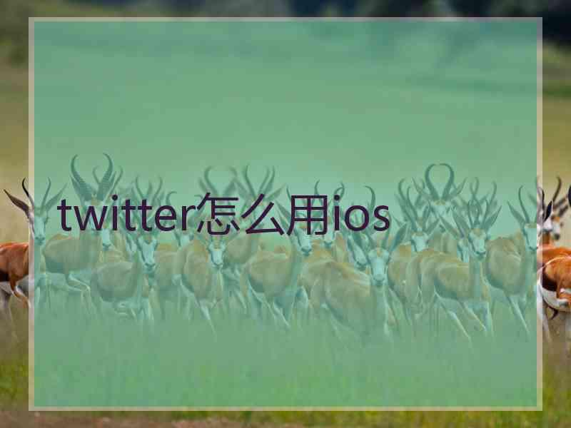 twitter怎么用ios