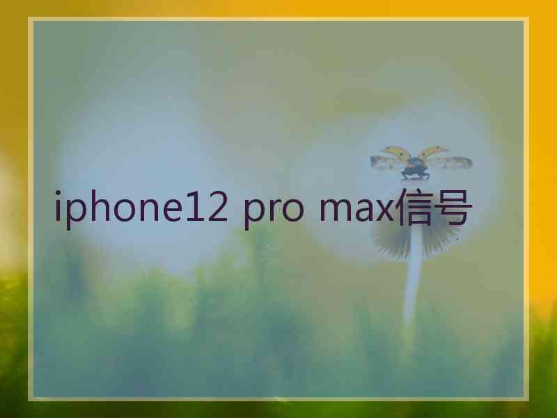iphone12 pro max信号