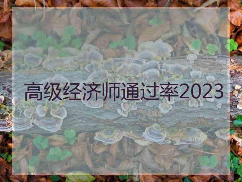 高级经济师通过率2023