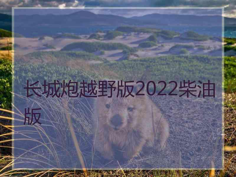 长城炮越野版2022柴油版