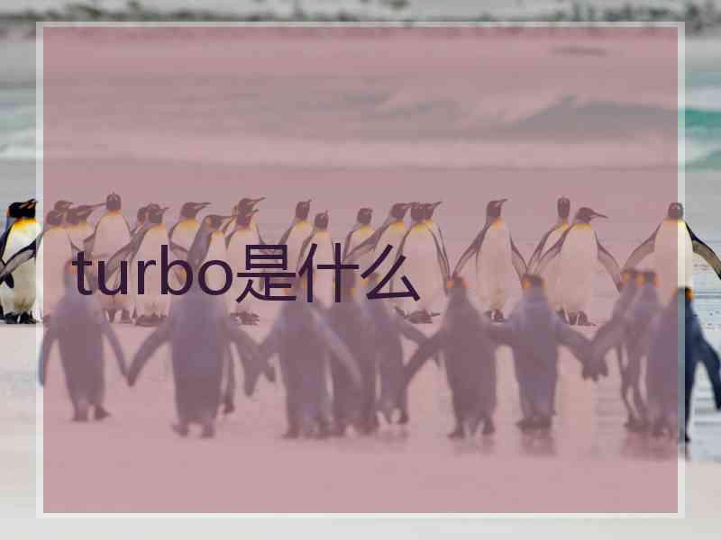 turbo是什么