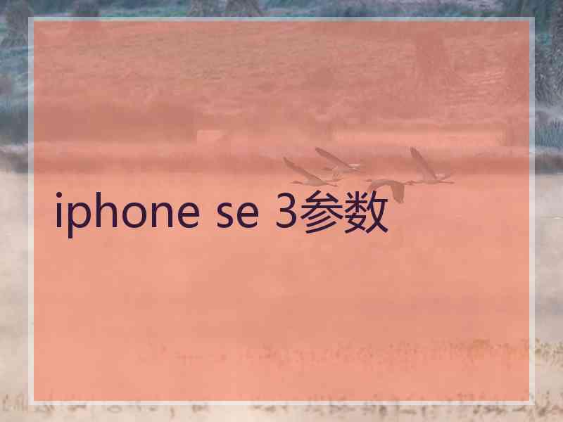 iphone se 3参数