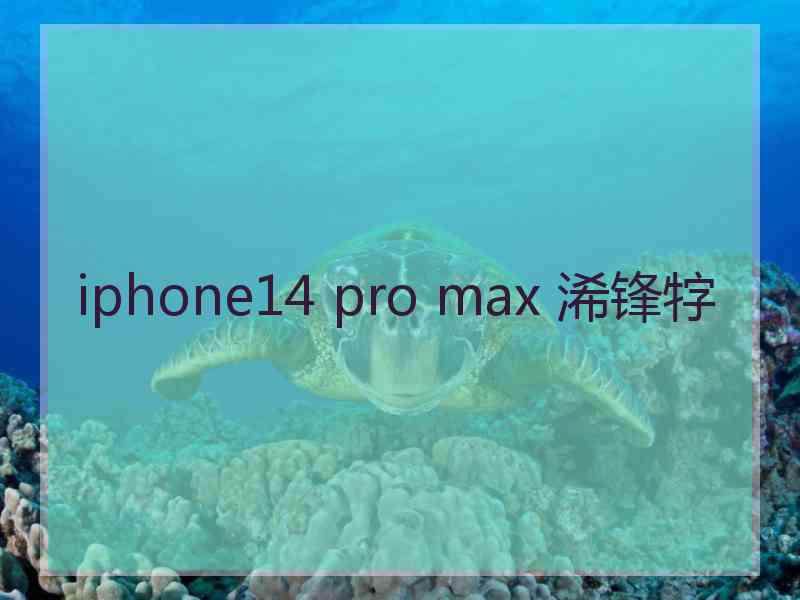 iphone14 pro max 浠锋牸