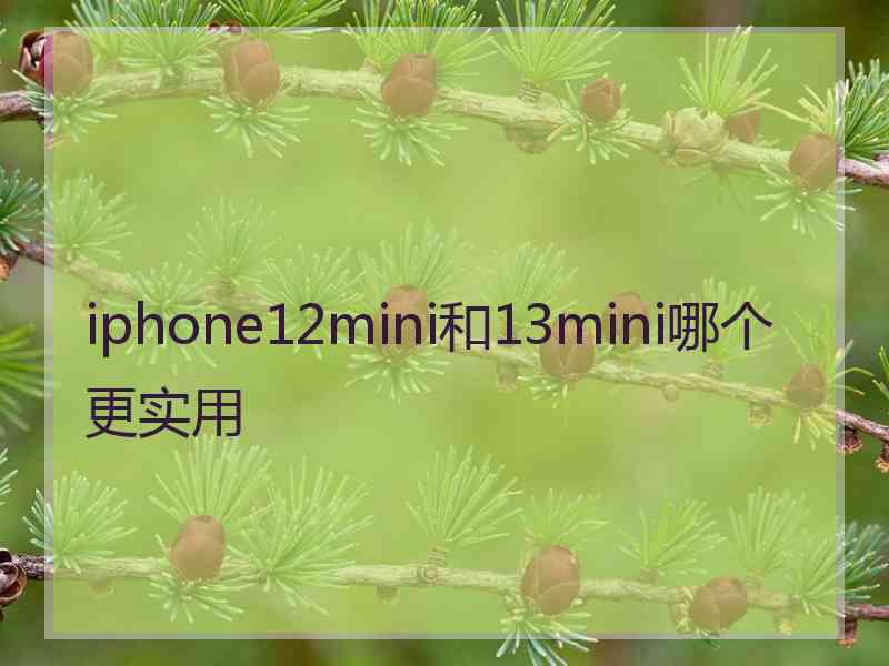 iphone12mini和13mini哪个更实用