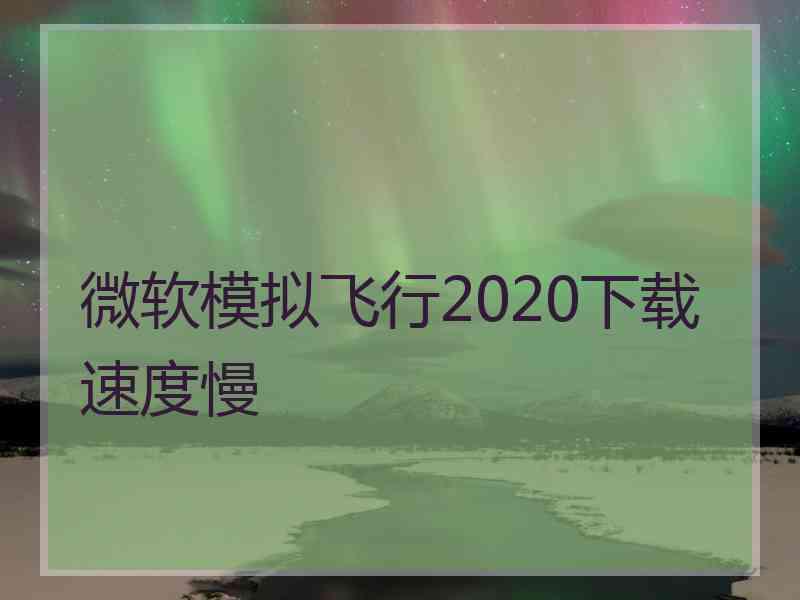 微软模拟飞行2020下载速度慢