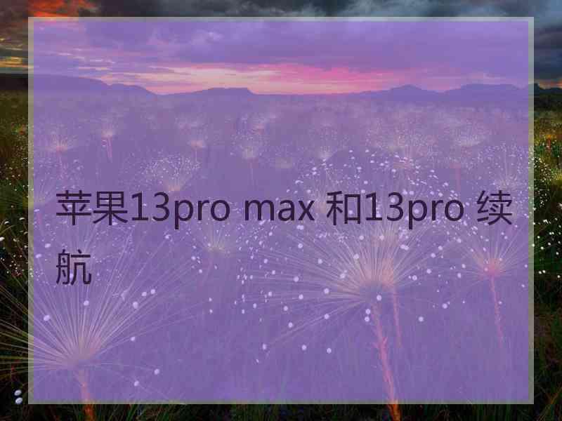 苹果13pro max 和13pro 续航