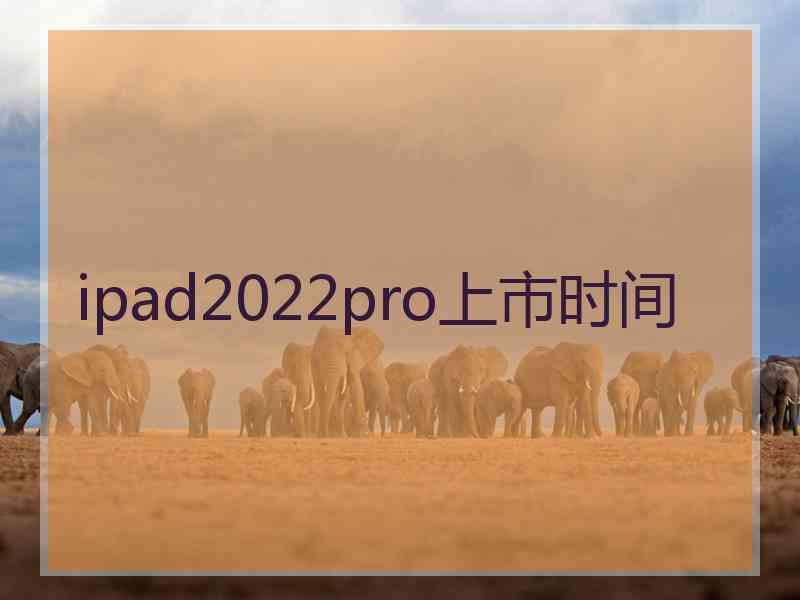 ipad2022pro上市时间