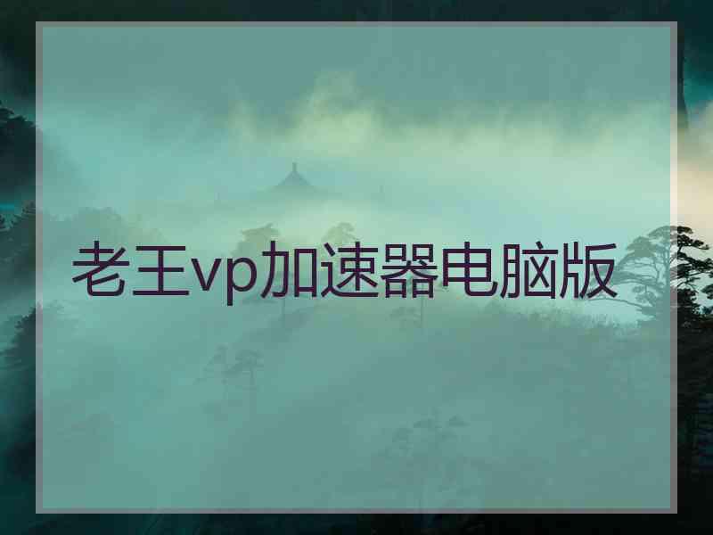 老王vp加速器电脑版