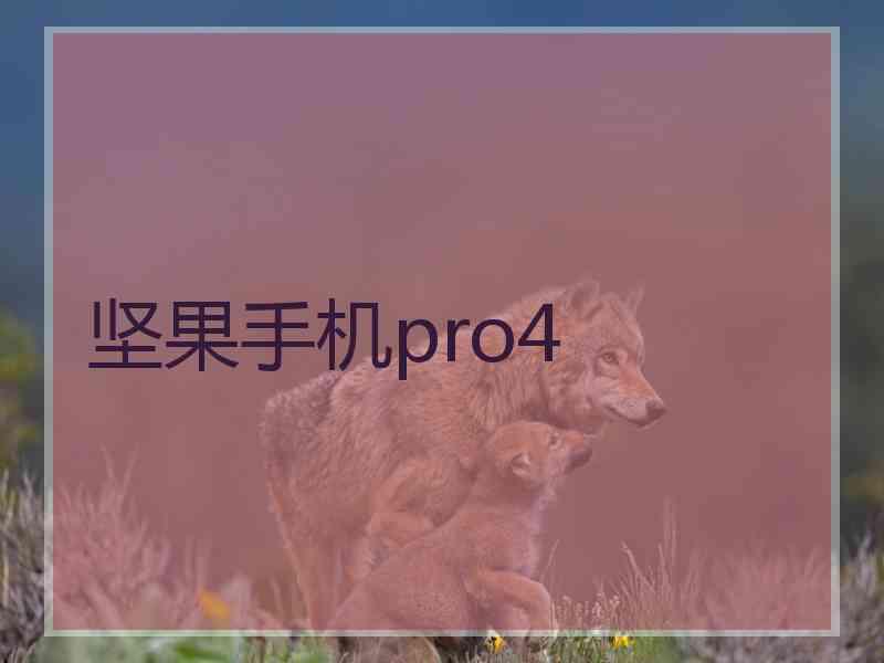 坚果手机pro4